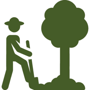 Commercial Landscaping Arborist and tree removal services.