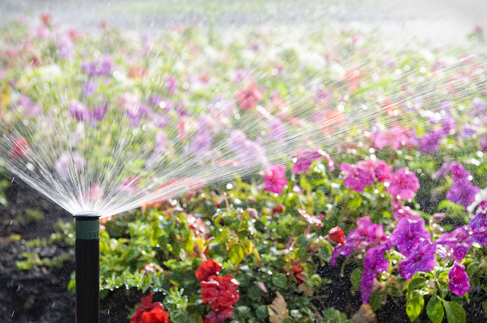 Professional irrigation systems design services.
