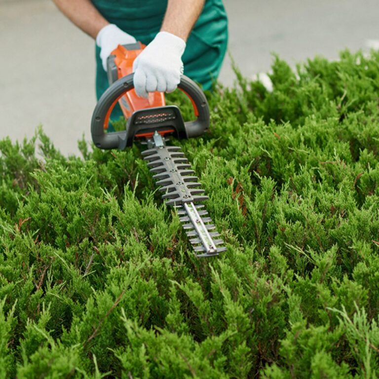 Plant Healthcare Experts in PA