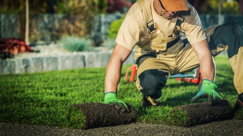Choosing the Right Grounds Maintenance Company