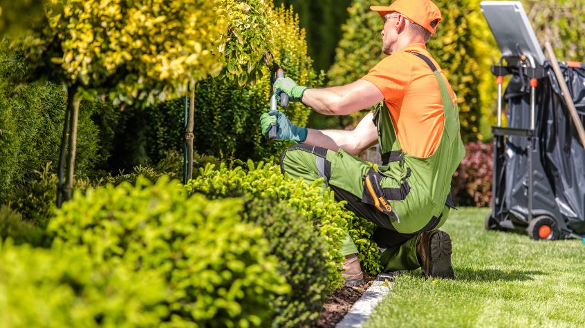 Cost-Effective Landscaping Solutions for HOAs